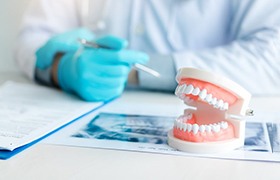 a plastic model of dentures in front of a dentist